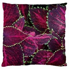 Abstract Beautiful Beauty Bright Standard Premium Plush Fleece Cushion Case (two Sides) by Semog4