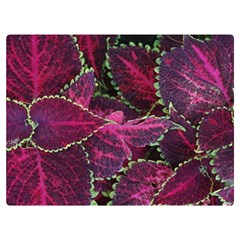 Abstract Beautiful Beauty Bright Two Sides Premium Plush Fleece Blanket (extra Small)