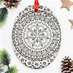 Vector Mandala Drawing Decoration Ornament (oval Filigree)