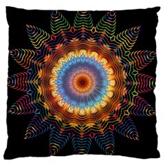 Colorful Prismatic Chromatic Large Cushion Case (one Side) by Semog4