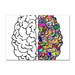 Brain Mind Aianatomy Sticker A4 (10 Pack)