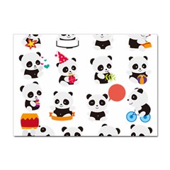 Giant Panda Bear Cuteness Sticker A4 (10 pack)