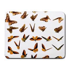 Butterfly Butterflies Insect Swarm Small Mousepad by Salman4z