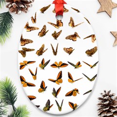 Butterfly Butterflies Insect Swarm Ornament (oval) by Salman4z