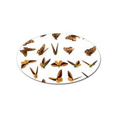 Butterfly Butterflies Insect Swarm Sticker (oval)