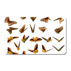 Butterfly Butterflies Insect Swarm Magnet (rectangular) by Salman4z