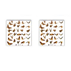 Butterfly Butterflies Insect Swarm Cufflinks (square) by Salman4z