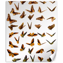 Butterfly Butterflies Insect Swarm Canvas 8  X 10  by Salman4z