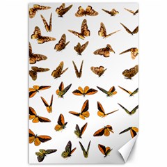 Butterfly Butterflies Insect Swarm Canvas 12  X 18  by Salman4z