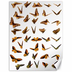 Butterfly Butterflies Insect Swarm Canvas 18  X 24  by Salman4z