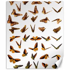 Butterfly Butterflies Insect Swarm Canvas 20  X 24  by Salman4z