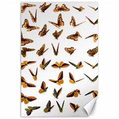 Butterfly Butterflies Insect Swarm Canvas 24  X 36  by Salman4z