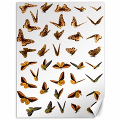 Butterfly Butterflies Insect Swarm Canvas 36  X 48  by Salman4z