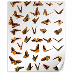 Butterfly Butterflies Insect Swarm Canvas 11  X 14  by Salman4z