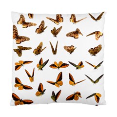 Butterfly Butterflies Insect Swarm Standard Cushion Case (one Side)