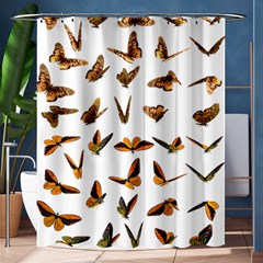 Butterfly Butterflies Insect Swarm Shower Curtain 60  X 72  (medium)  by Salman4z