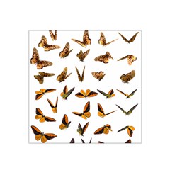 Butterfly Butterflies Insect Swarm Satin Bandana Scarf 22  X 22  by Salman4z