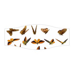 Butterfly Butterflies Insect Swarm Stretchable Headband