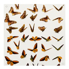 Butterfly Butterflies Insect Swarm Banner And Sign 4  X 4  by Salman4z