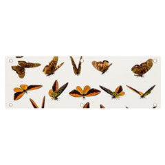 Butterfly Butterflies Insect Swarm Banner And Sign 6  X 2  by Salman4z