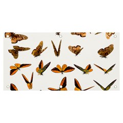 Butterfly Butterflies Insect Swarm Banner And Sign 6  X 3  by Salman4z