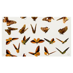 Butterfly Butterflies Insect Swarm Banner And Sign 7  X 4  by Salman4z