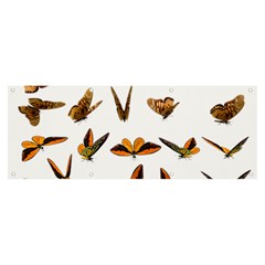 Butterfly Butterflies Insect Swarm Banner And Sign 8  X 3  by Salman4z