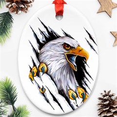 Eagle Oval Ornament (two Sides) by Salman4z