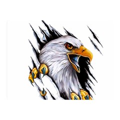 Eagle Two Sides Premium Plush Fleece Blanket (mini) by Salman4z