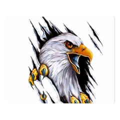 Eagle Two Sides Premium Plush Fleece Blanket (large) by Salman4z