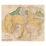 Vintage World Map Physical Geography Two Sides Premium Plush Fleece Blanket (Small) 50 x40  Blanket Front