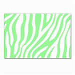 Green Zebra Vibes Animal Print  Postcard 4 x 6  (Pkg of 10) Front