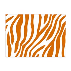 Orange Zebra Vibes Animal Print   Sticker A4 (100 Pack) by ConteMonfrey