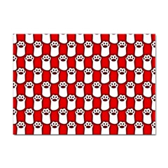 Red And White Cat Paws Sticker A4 (100 Pack) by ConteMonfrey