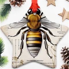 Bee Beekeeping Ornament (star) by Simbadda