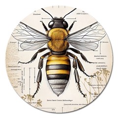 Bee Beekeeping Magnet 5  (round) by Simbadda