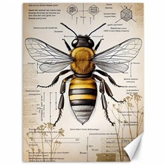 Bee Beekeeping Canvas 36  X 48  by Simbadda