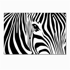 Animal Cute Pattern Art Zebra Postcard 4 x 6  (pkg Of 10) by Amaryn4rt