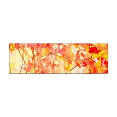 Monotype Art Pattern Leaves Colored Autumn Sticker Bumper (10 Pack) by Amaryn4rt