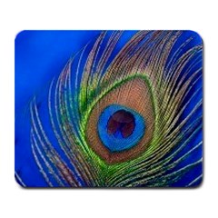 Blue Peacock Feather Large Mousepad by Amaryn4rt