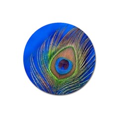 Blue Peacock Feather Magnet 3  (round) by Amaryn4rt