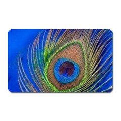 Blue Peacock Feather Magnet (rectangular) by Amaryn4rt