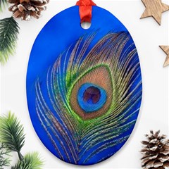 Blue Peacock Feather Oval Ornament (two Sides) by Amaryn4rt