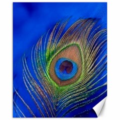 Blue Peacock Feather Canvas 16  x 20 