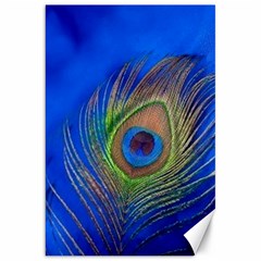 Blue Peacock Feather Canvas 20  X 30  by Amaryn4rt