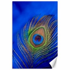 Blue Peacock Feather Canvas 24  X 36  by Amaryn4rt