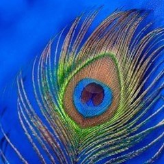 Blue Peacock Feather Play Mat (square) by Amaryn4rt