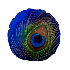 Blue Peacock Feather Standard 15  Premium Round Cushions by Amaryn4rt