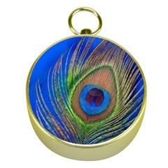 Blue Peacock Feather Gold Compasses by Amaryn4rt