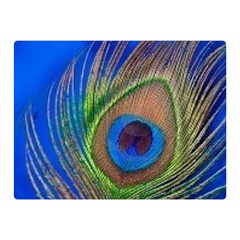 Blue Peacock Feather Two Sides Premium Plush Fleece Blanket (mini) by Amaryn4rt